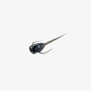 13 Fishing Paralyzer Soft Plastic