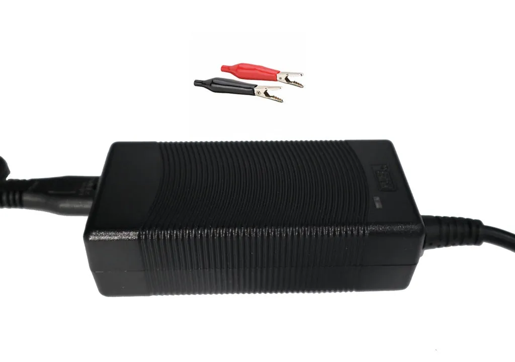 Amped Outdoors 3A (LiFePO4) Battery Charger