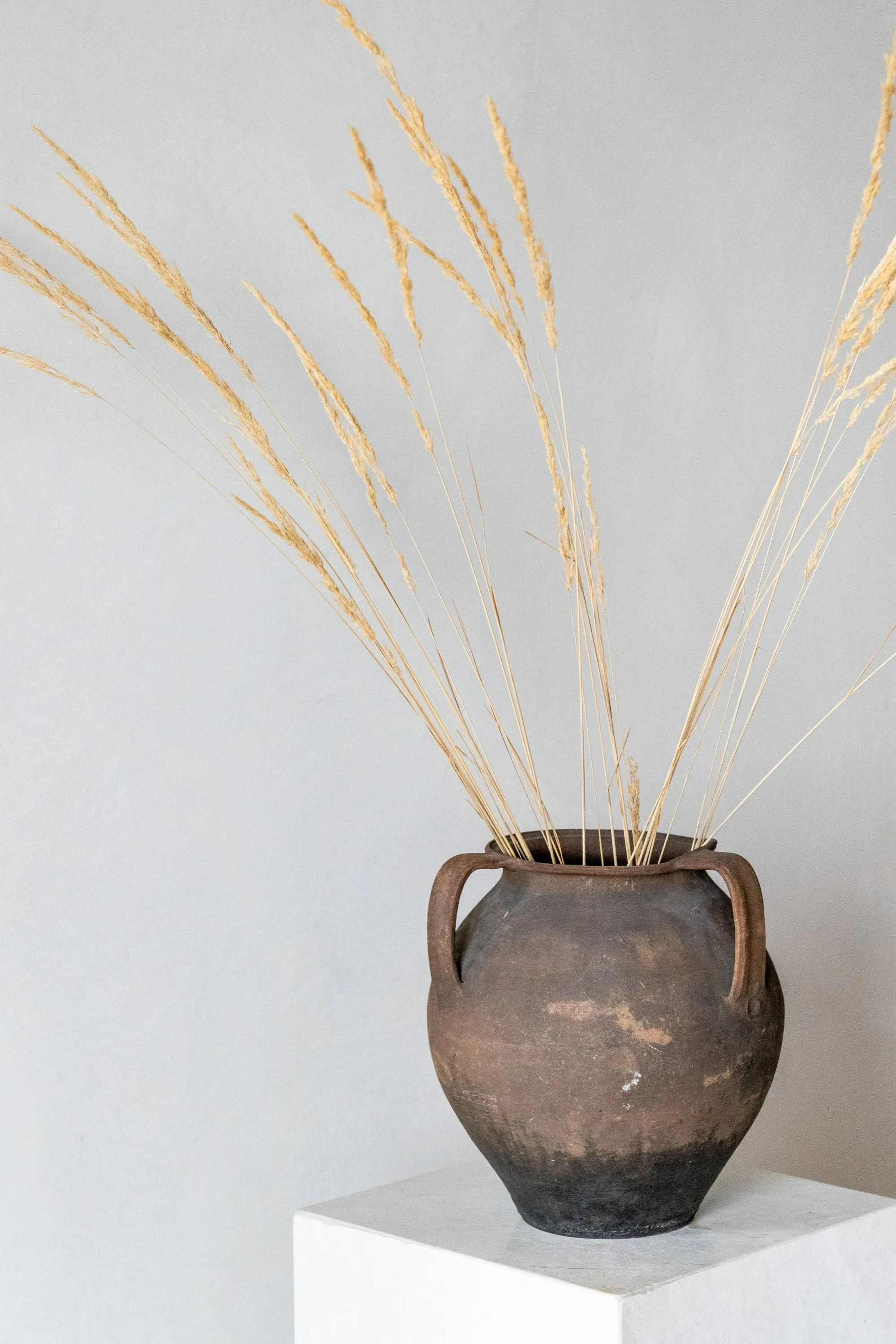 Antique Pignate Pot