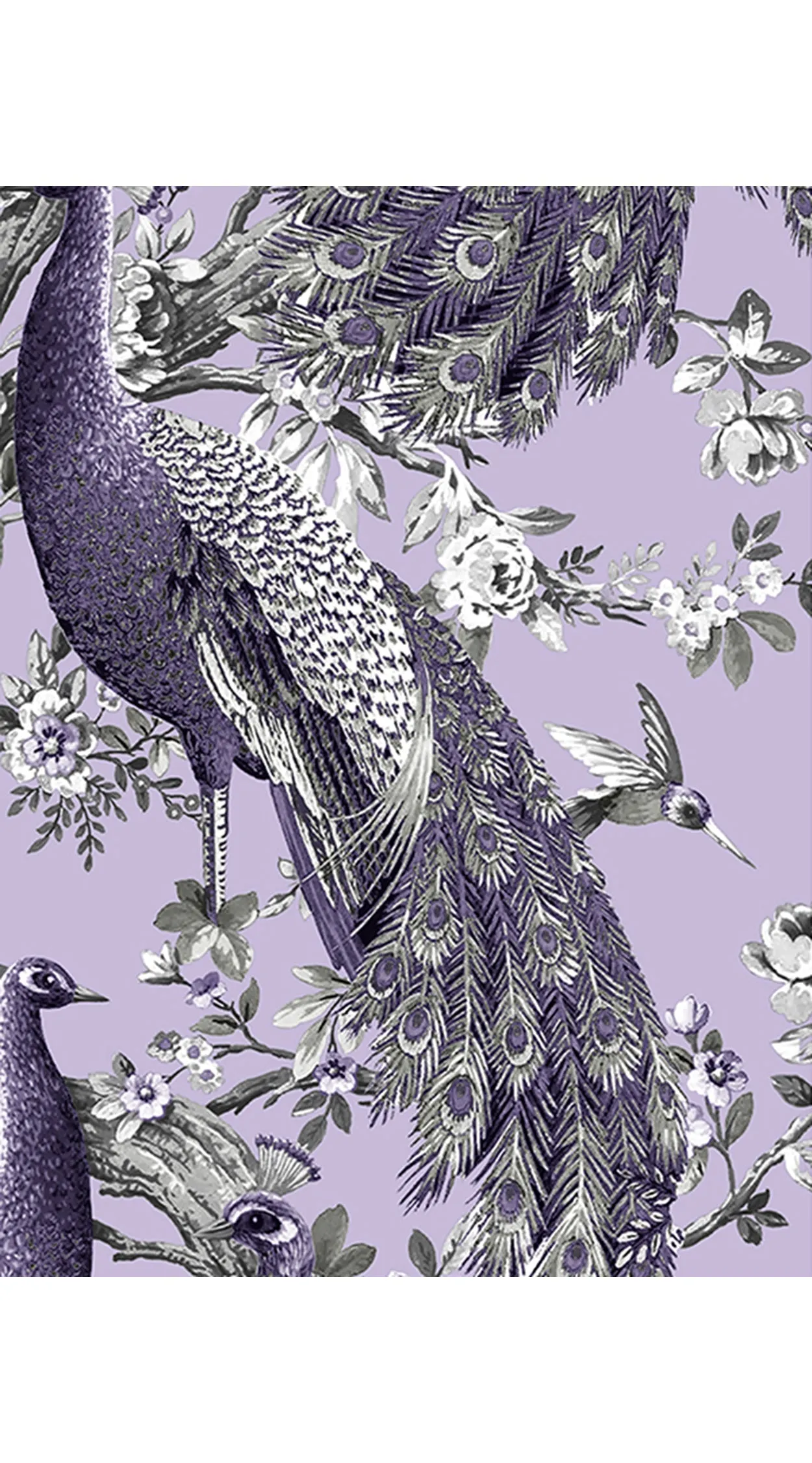 Birdy Dress #2 Crew Neck 3/4 Sleeve Long  3 Length Cotton Musola (Belvedere Peacok)