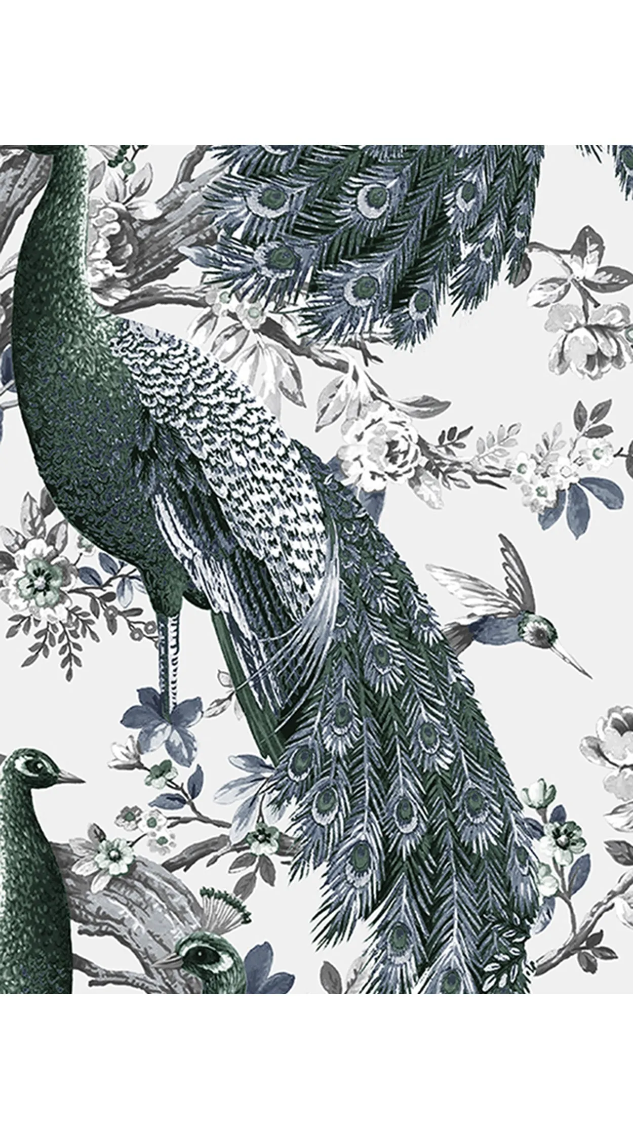 Birdy Dress #2 Crew Neck 3/4 Sleeve Long  3 Length Cotton Musola (Belvedere Peacok)