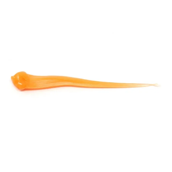 Clam Polli XL