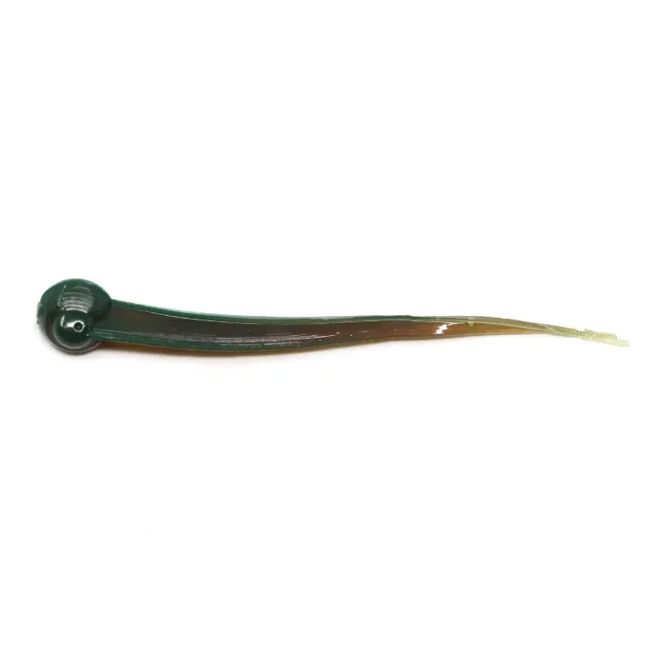 Clam Polli XL