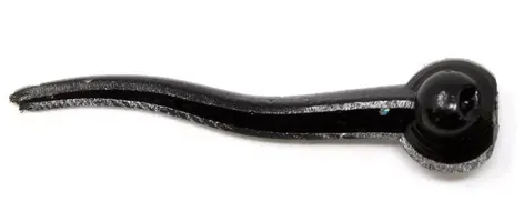 Clam Polli