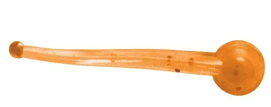 Clam Polli