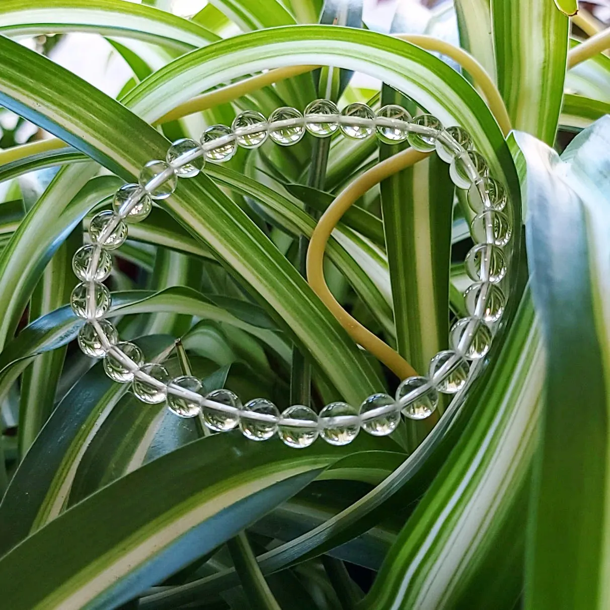 Clear Quartz Bead Bracelet 6mm