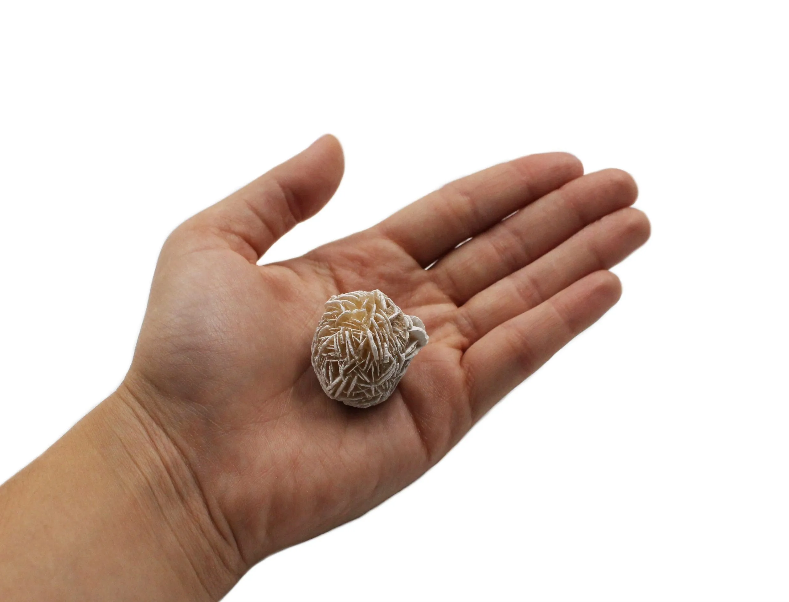 Desert Rose