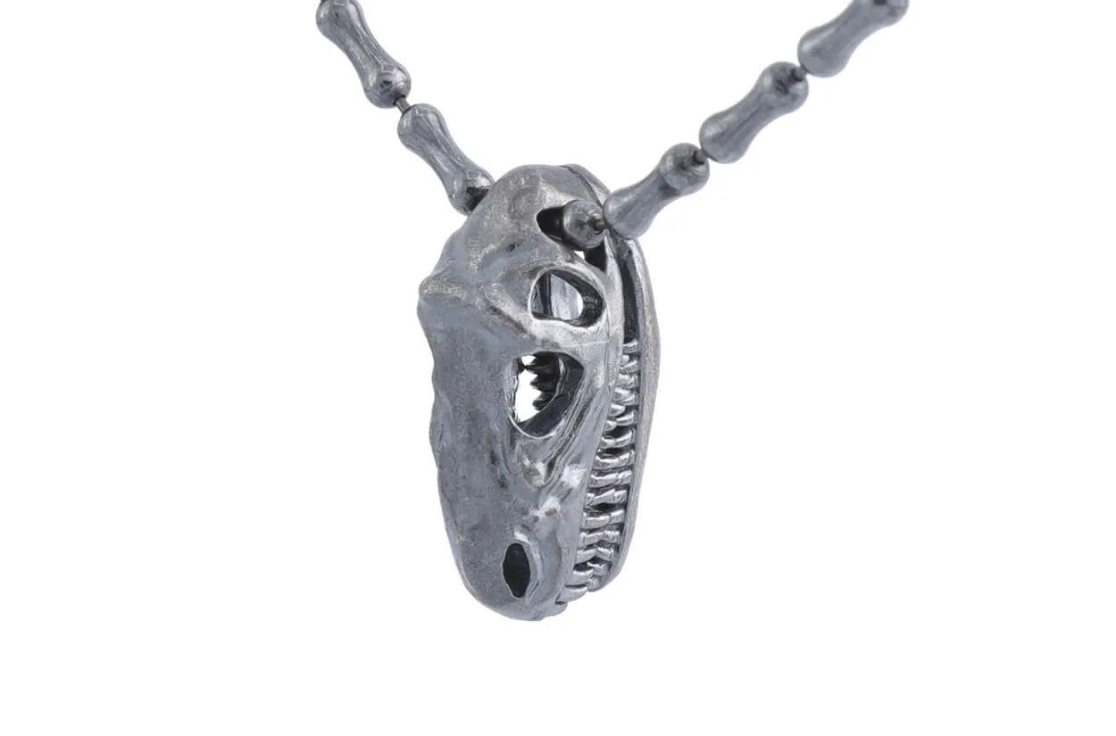 Necklace LivingSkull Men Silver Skulls & Bones Chain