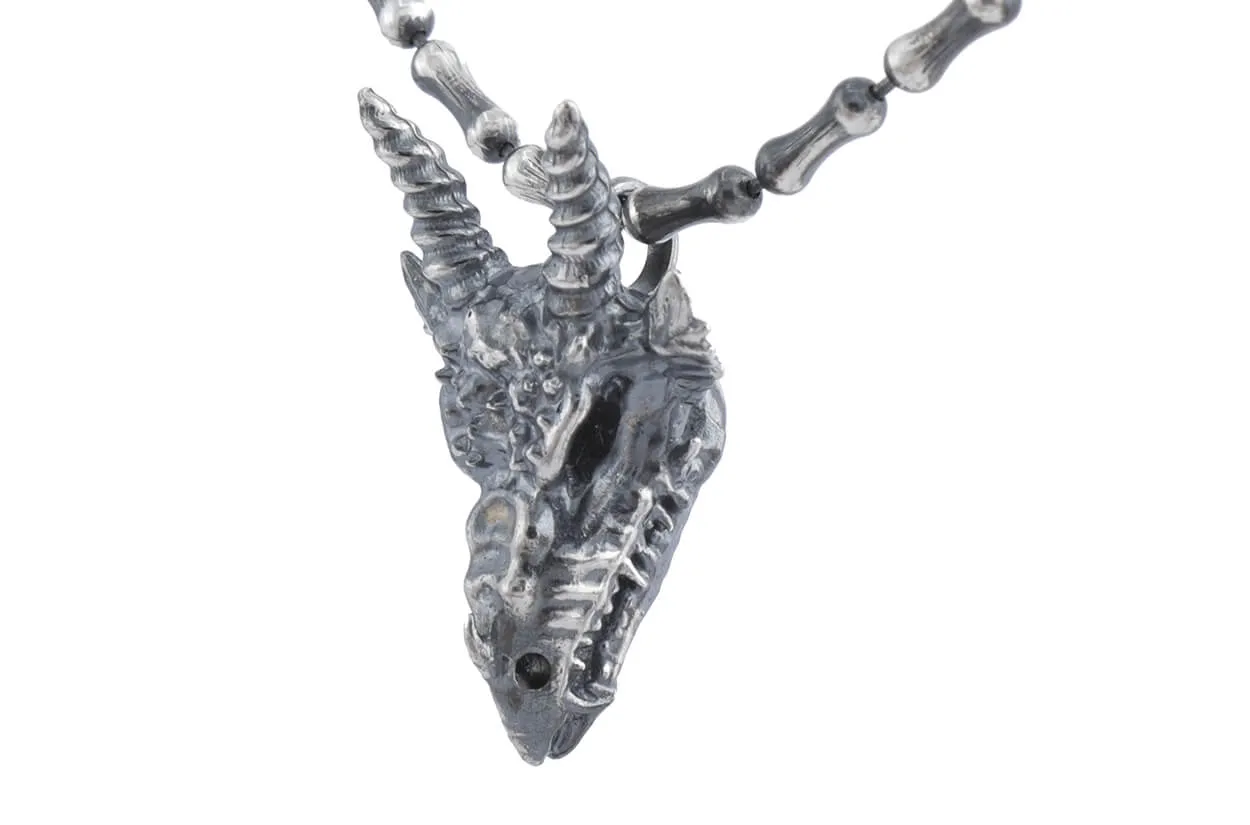 Necklace LivingSkull Men Silver Skulls & Bones Chain