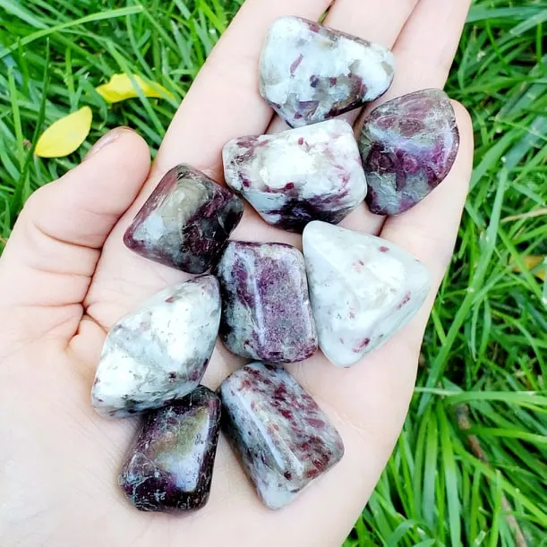 Ruby Tourmaline | Pink Tourmaline Crystals | Tumbled Stone | Crystal Healing | Choose How Many