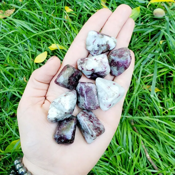 Ruby Tourmaline | Pink Tourmaline Crystals | Tumbled Stone | Crystal Healing | Choose How Many
