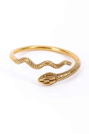 Serpent Spiral Bracelet